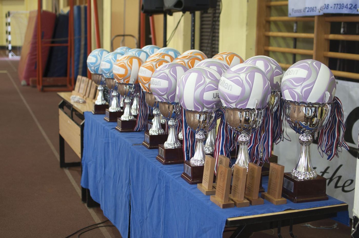 Trofeos y balones preparados para la premiación